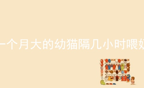 一个月大的幼猫隔几小时喂奶