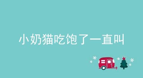 小奶猫吃饱了一直叫