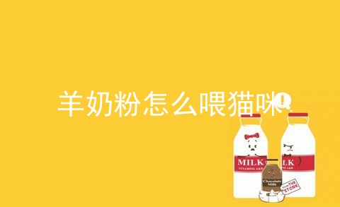 羊奶粉怎么喂猫咪