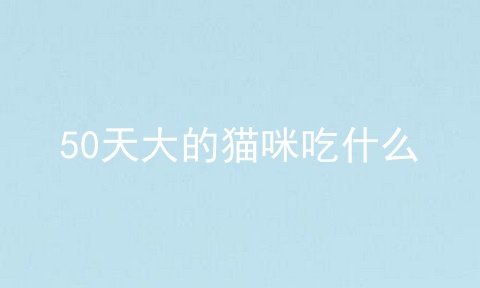 50天大的猫咪吃什么