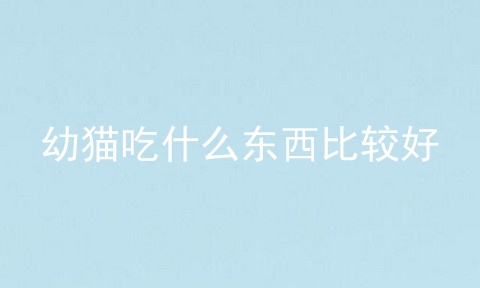 幼猫吃什么东西比较好