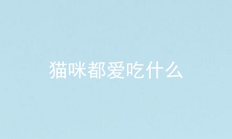 猫咪都爱吃什么