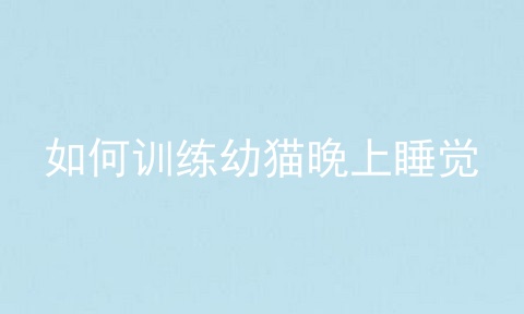 如何训练幼猫晚上睡觉