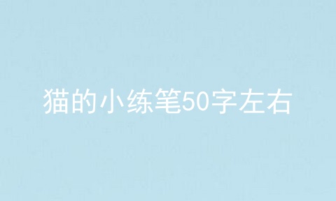 猫的小练笔50字左右
