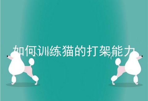 如何训练猫的打架能力