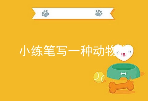 小练笔写一种动物猫