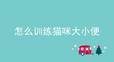 怎么训练猫咪大小便