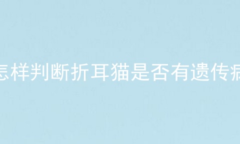 怎样判断折耳猫是否有遗传病