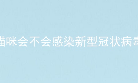 猫咪会不会感染新型冠状病毒