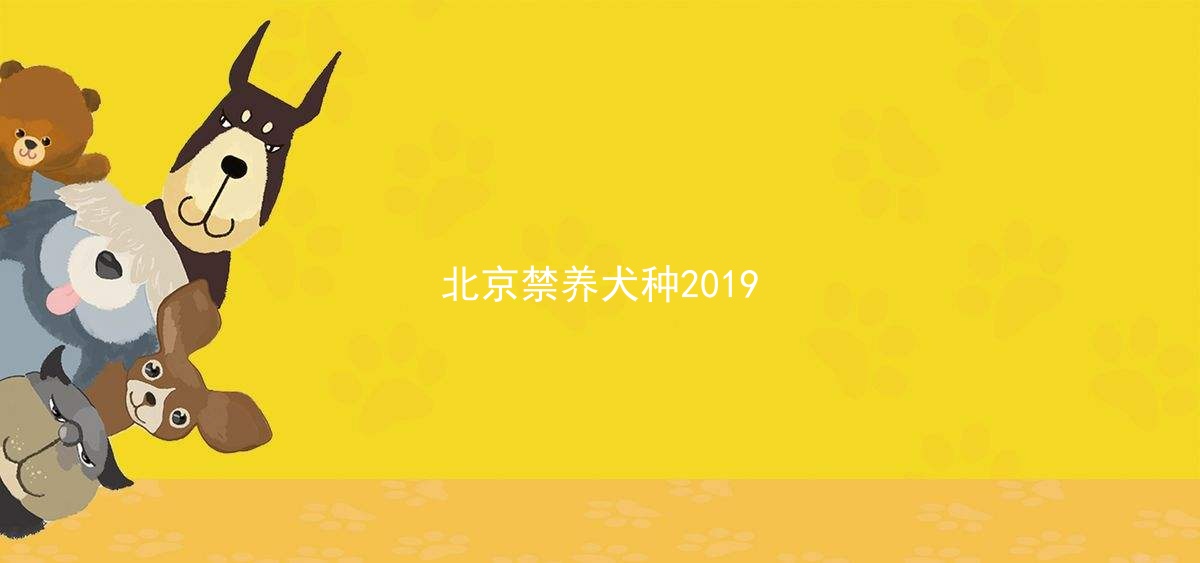 北京禁养犬种2019