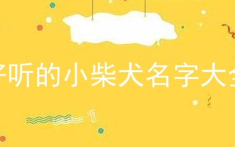 好听的小柴犬名字大全