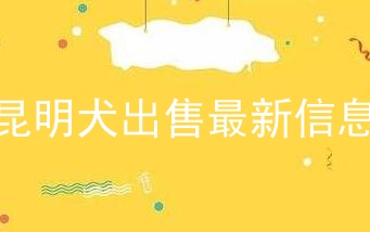 昆明犬出售最新信息