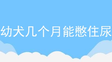 幼犬几个月能憋住尿