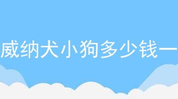 罗威纳犬小狗多少钱一只