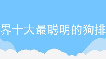 世界十大最聪明的狗排名