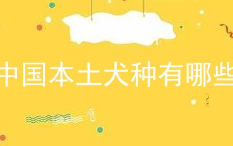 中国本土犬种有哪些