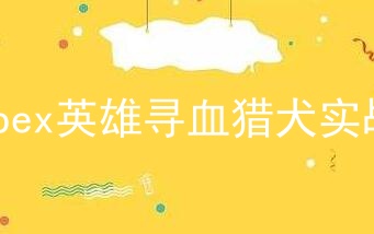 apex英雄寻血猎犬实战