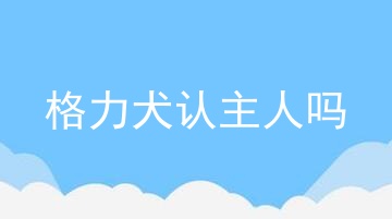 格力犬认主人吗