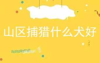 山区捕猎什么犬好