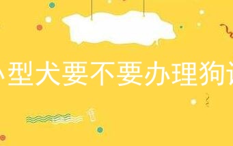 小型犬要不要办理狗证