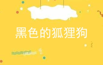 黑色的狐狸狗