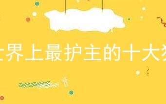 世界上最护主的十大狗