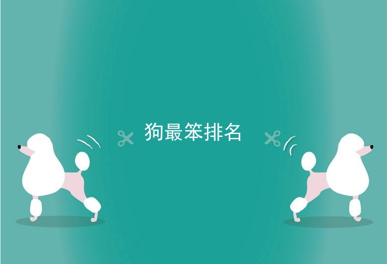 狗最笨排名