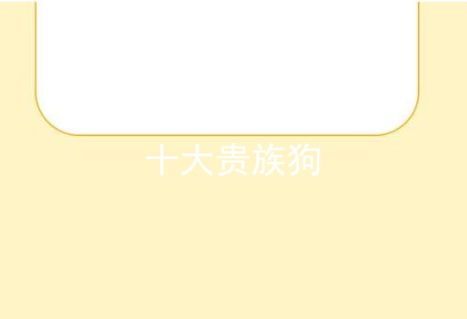 十大贵族狗