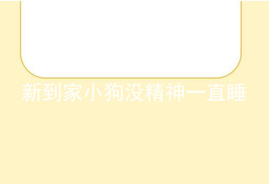 新到家小狗没精神一直睡