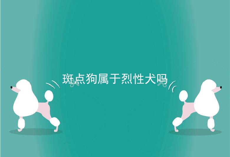 斑点狗属于烈性犬吗