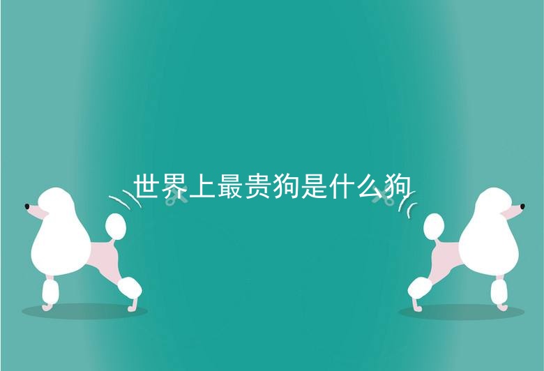 世界上最贵狗是什么狗
