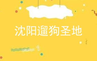 沈阳遛狗圣地