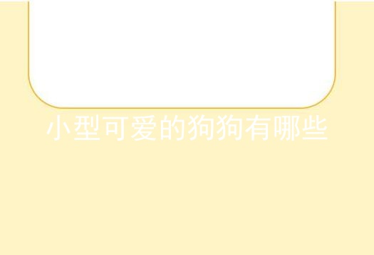 小型可爱的狗狗有哪些