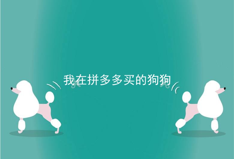 我在拼多多买的狗狗
