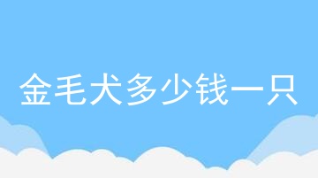 金毛犬多少钱一只