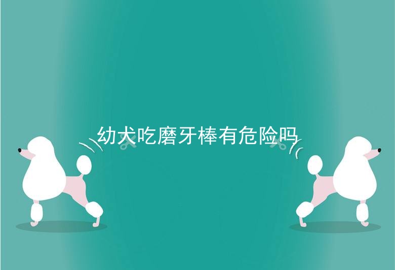 幼犬吃磨牙棒有危险吗