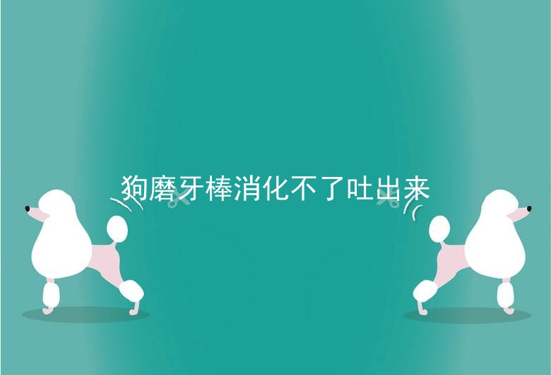 狗磨牙棒消化不了吐出来