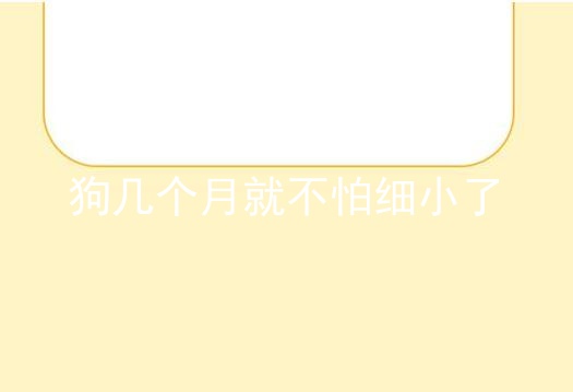 狗几个月就不怕细小了