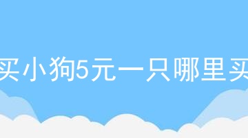 买小狗5元一只哪里买