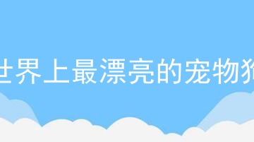 世界上最漂亮的宠物狗