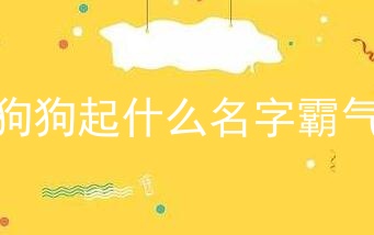 狗狗起什么名字霸气