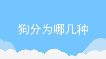 狗分为哪几种