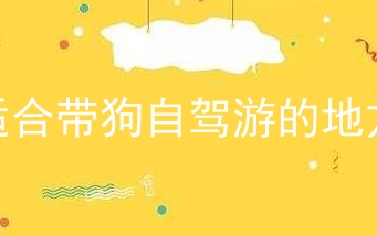 适合带狗自驾游的地方