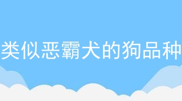 类似恶霸犬的狗品种