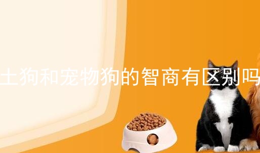 土狗和宠物狗的智商有区别吗