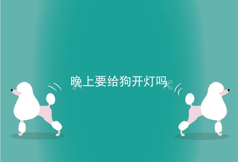 晚上要给狗开灯吗