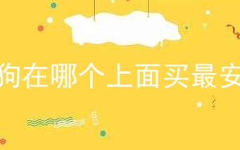 买狗在哪个上面买最安全