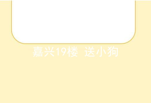 嘉兴19楼送小狗