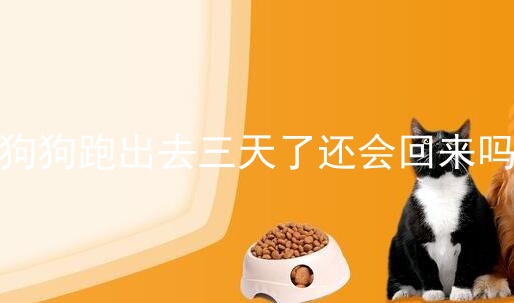 狗狗跑出去三天了还会回来吗