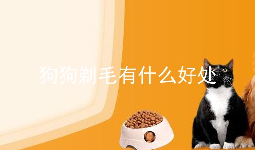 狗狗剃毛有什么好处